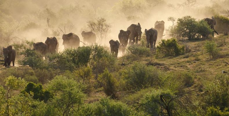 Kwandwe Private Game Reserve