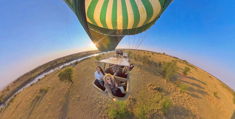 Safari from the Sky