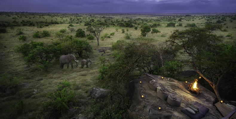 Embers and Elephants