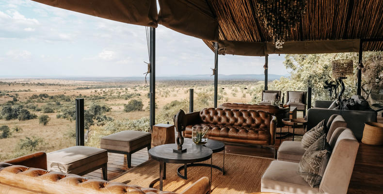 Where Comfort Meets the Wild"
