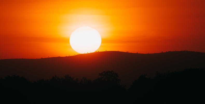 Nature’s Fiery Farewell
