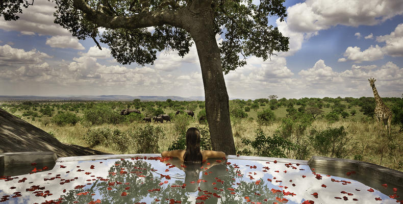 Endless view from the swimming plunge pool
