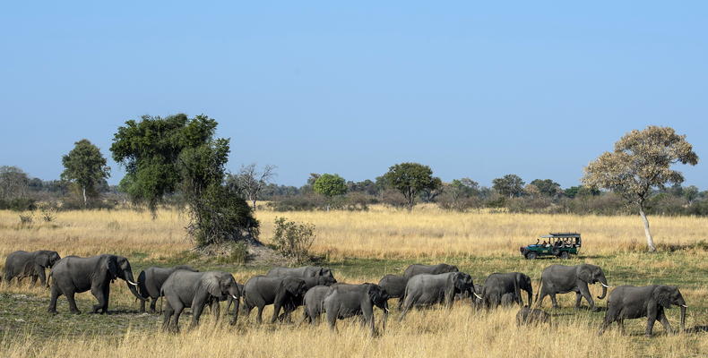 Mapula Lodge, Northern Okavango Delta 