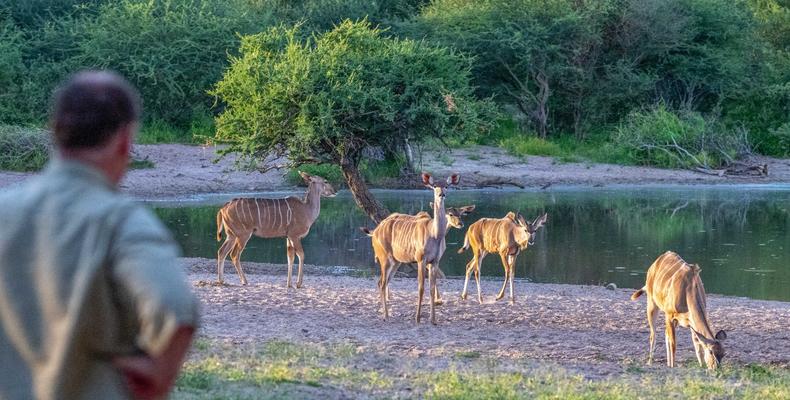 Waterhole