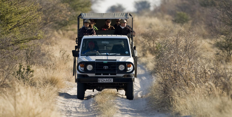 Game Drive activities