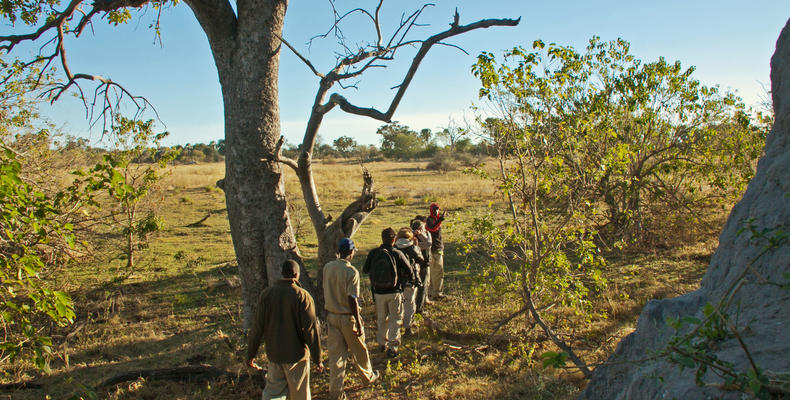 Bush walks