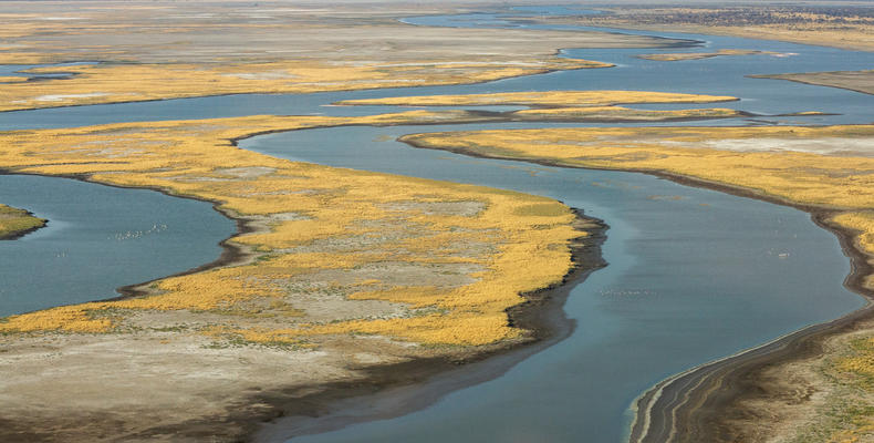 Scenic Helicopter Flights