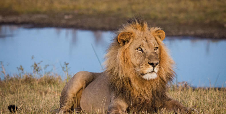 Game Drives