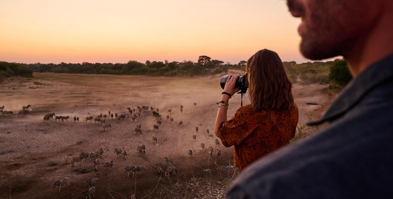 Photographic Hide