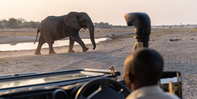 Game Drives