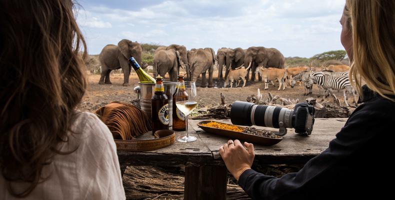 Game viewing from the hide