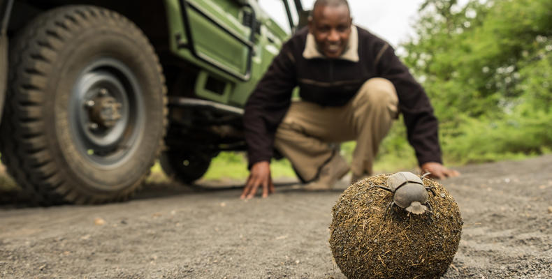 ol Donyo Game Drive