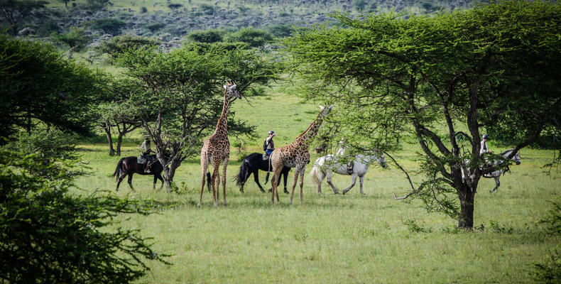 Horseback Safari at ol Donyo