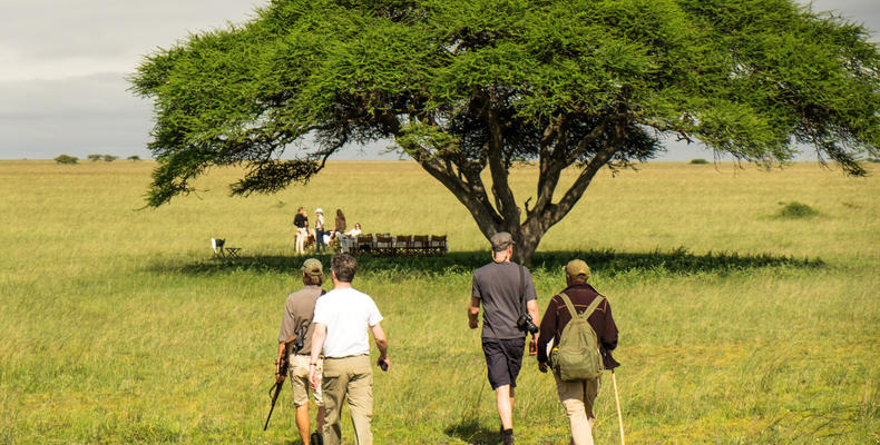 Bush Walk to Breakfast on the Plains