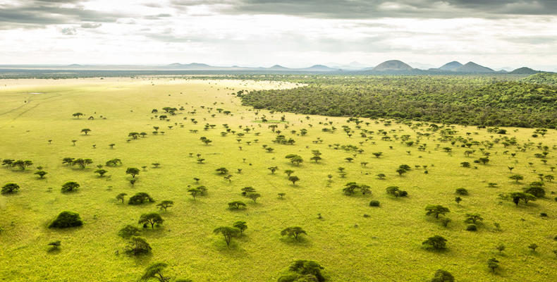 ol Donyo Landscape