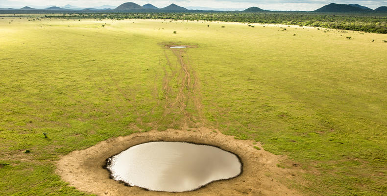 Waterhole on the Plains