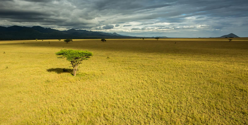 ol Donyo Landscape