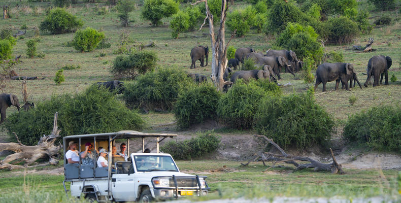 Chobe River Camp