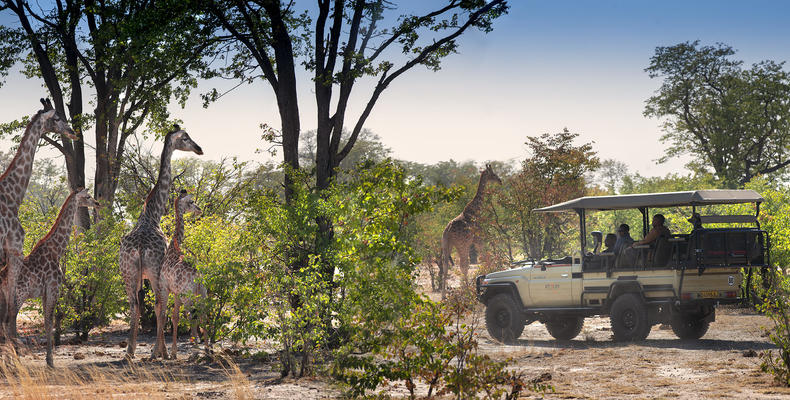 Linynati Expeditions 