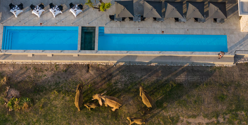 Main Lodge pools