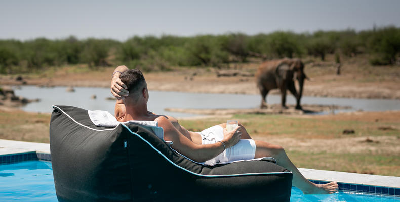 Pool pillow Pool Safari