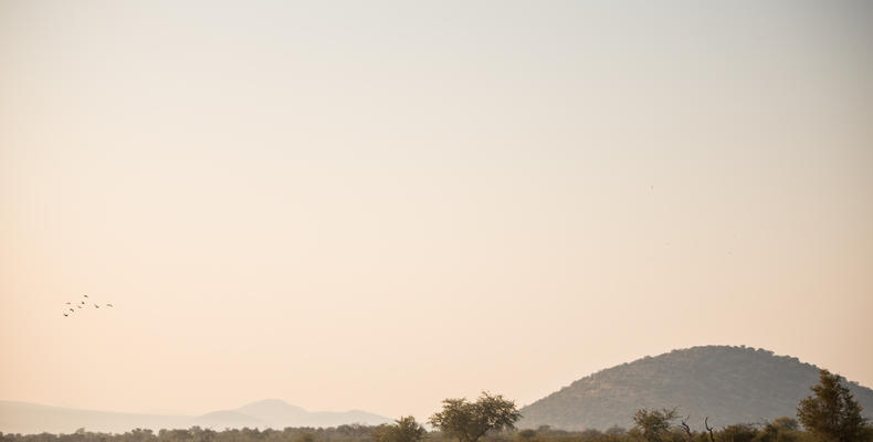 Waterhole View