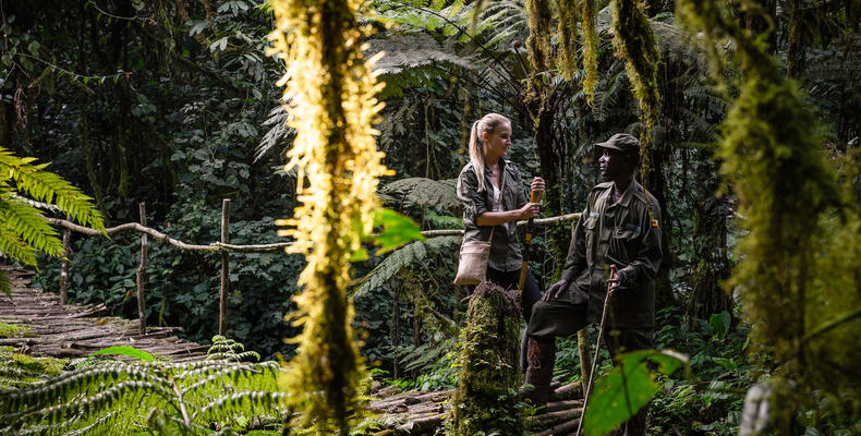 Sanctuary Gorilla Forest Camp Activities