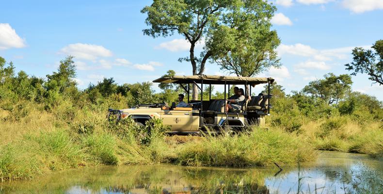 Imbali Safari Lodge - Safari