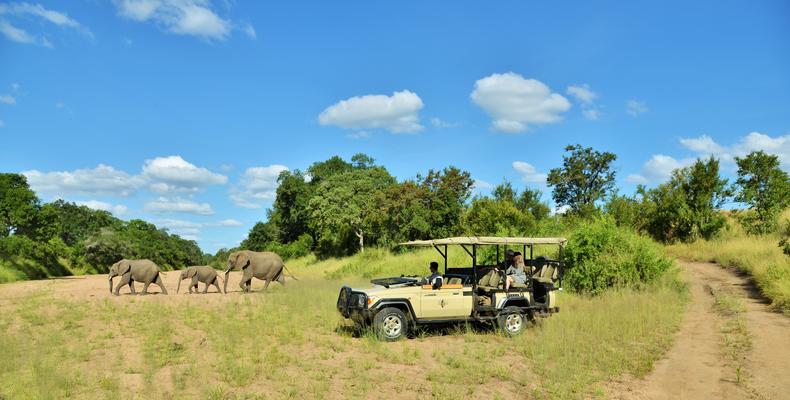 Imbali Safari Lodge -  Safari