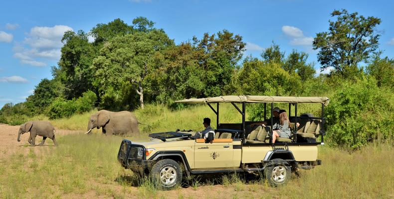 Imbali Safari Lodge - Safari