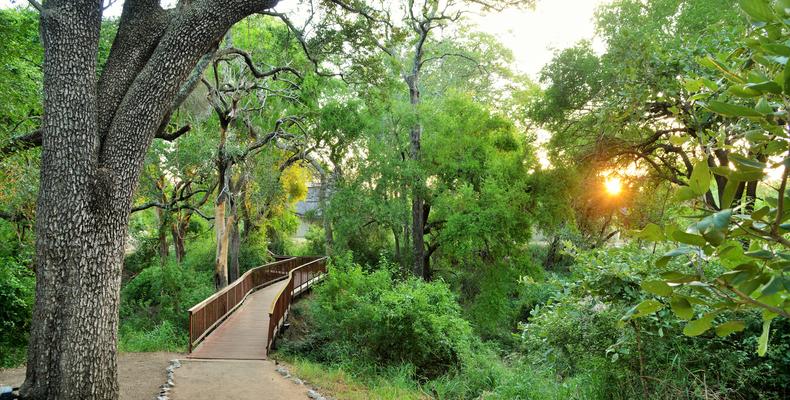 Imbali Safari Lodge - Walkway