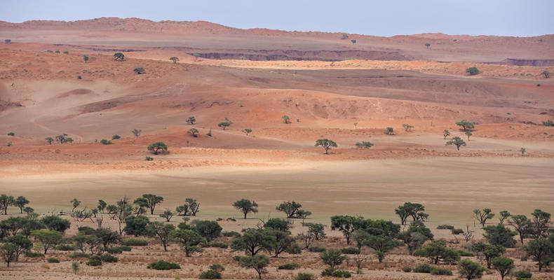 Gondwana Namib Desert Nature Park