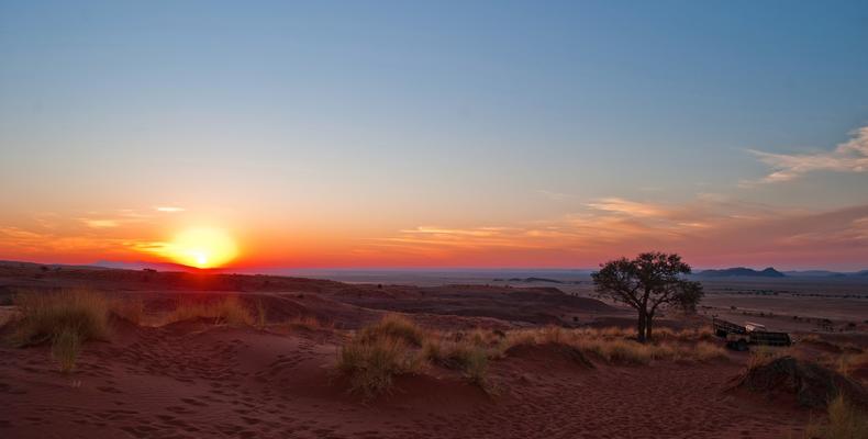 Desert Whisper