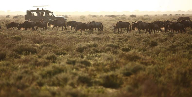 &Beyond Serengeti Under Canvas