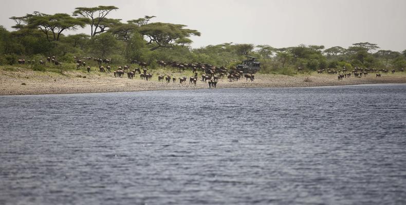 &Beyond Serengeti Under Canvas