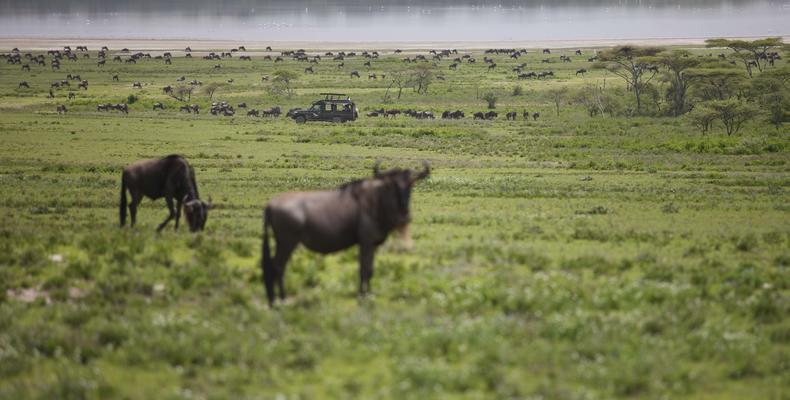 &Beyond Serengeti Under Canvas