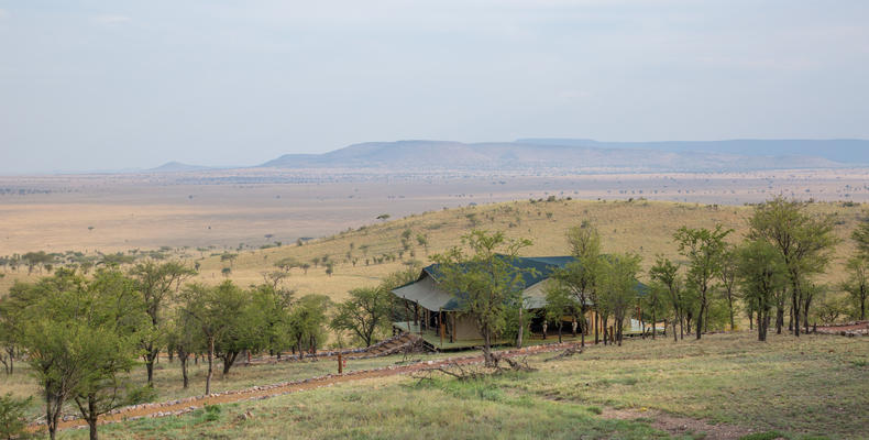 The Camp