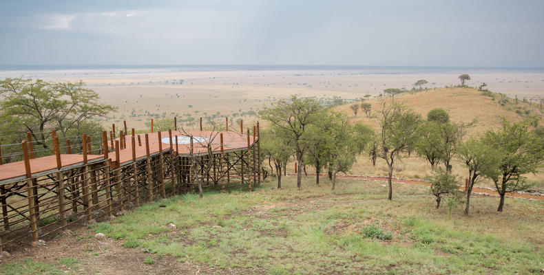 The Camp