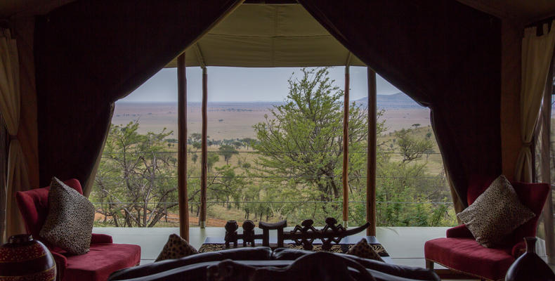 View from the Reception