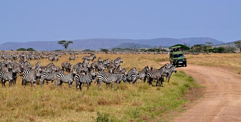 Game Drive