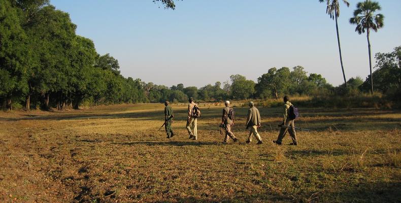 Island BC Walking Safaris