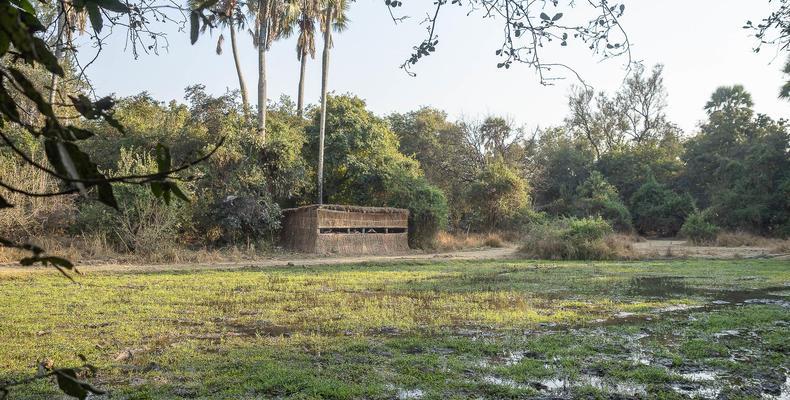 Island Bush Camp