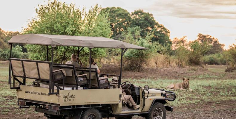 Kafunta Safaris Game Drive