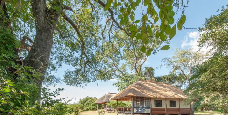 Kafunta River Lodge - Standard chalet
