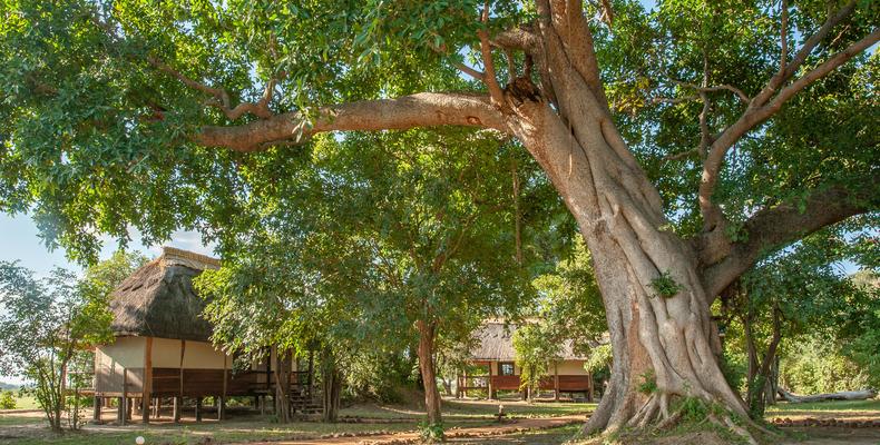 Kafunta River Lodge - Standard chalet
