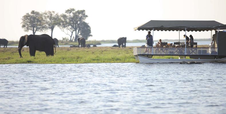 Chobe Under Canvas
