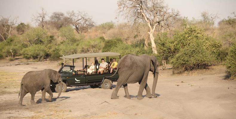 Chobe Under Canvas