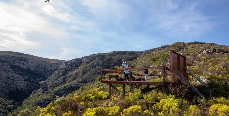 Vulture Viewing deck 