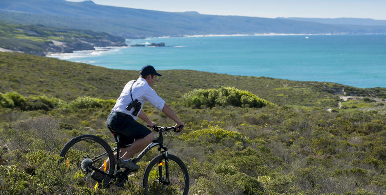 Mountain biking