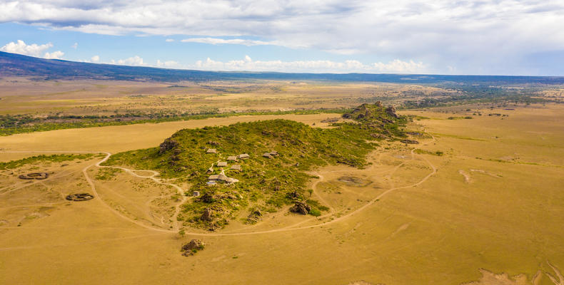 Overview